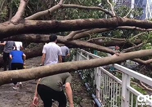 安防與臺風(fēng)應急救援不得不說(shuō)的兩三事……