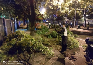 扎實(shí)工作樹(shù)新風(fēng)系列2021.5.14